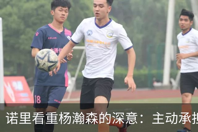 诺里看重杨瀚森的深意：主动承担责任背后的战略布局