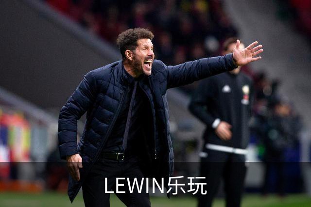 LEWIN乐玩公司简介展示图